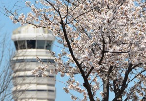 BLOOMS and DCA tower